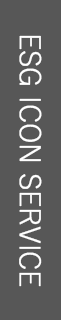 ESG ICON SERVICE